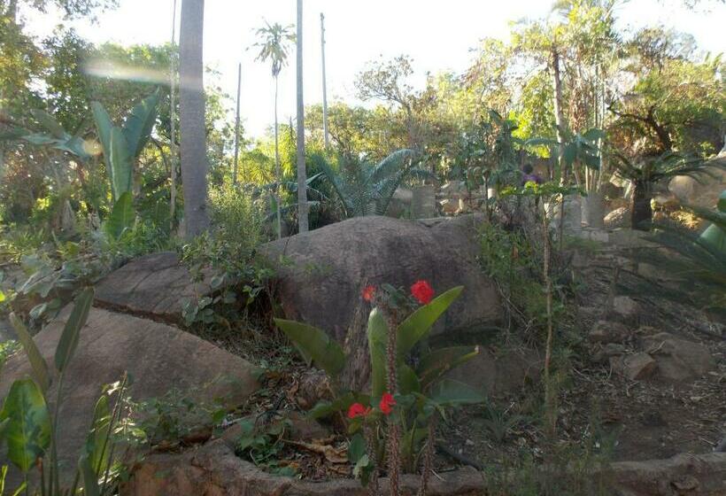 آپارتمان 1 خوابه همکف, Leopard Tree Retreat
