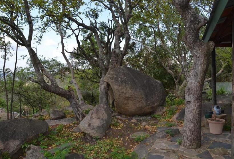 اتاق استاندارد, Leopard Tree Retreat