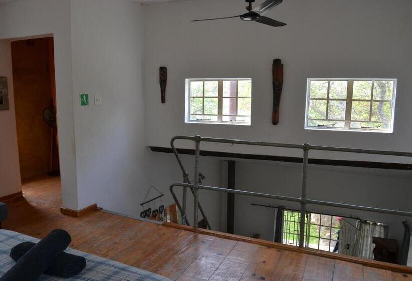 اتاق استاندارد, Leopard Tree Retreat