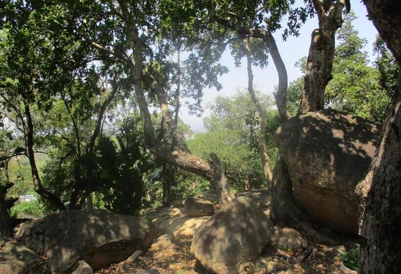 اتاق استاندارد, Leopard Tree Retreat