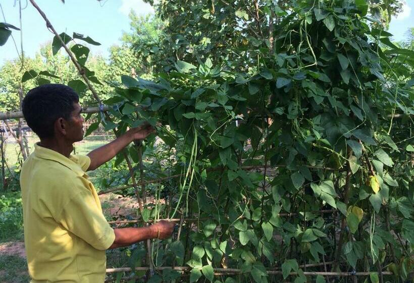 خانه 1 خوابه, Cozycomo Khonkhan