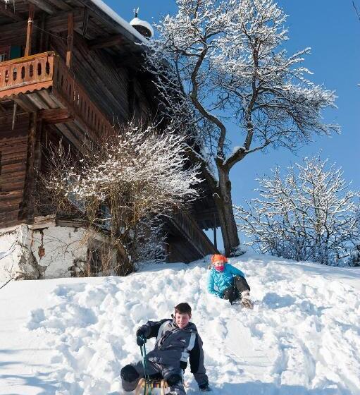 Дом 1 Спальня, Vordersattlegghofhütte
