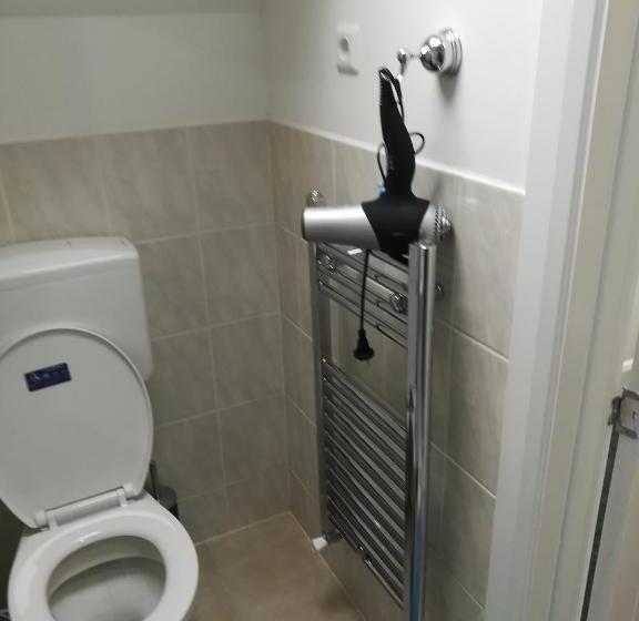 Номер Стандарт Индивидуальный, Royal Guest House Ii