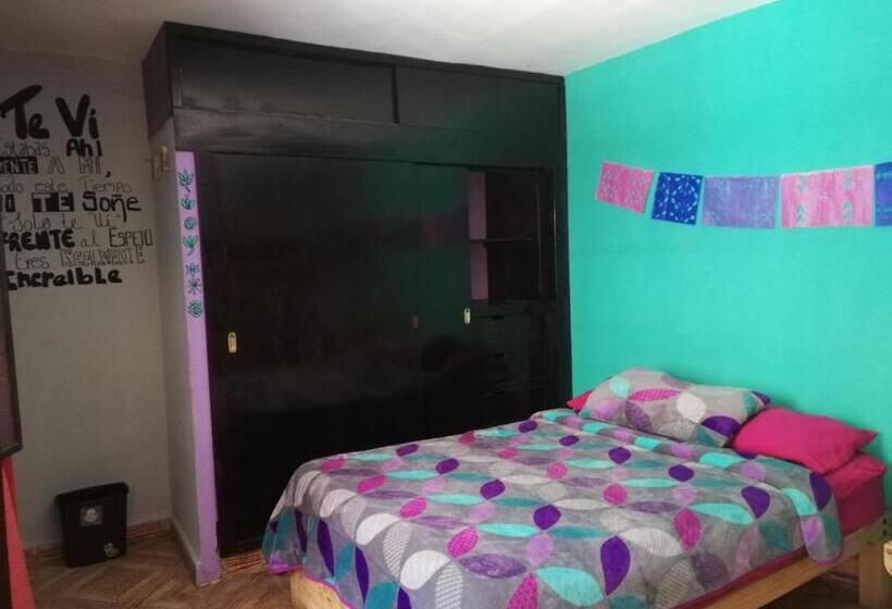 Standart Oda, Casa Apapacho Hostel