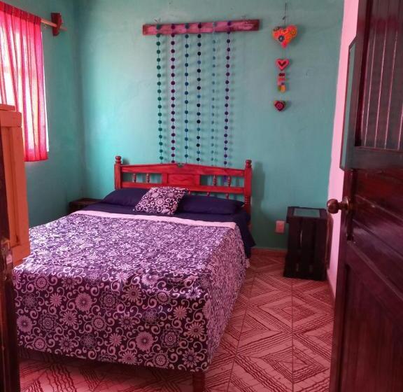 Standart Oda, Casa Apapacho Hostel
