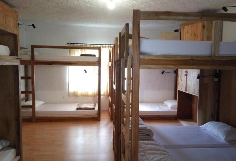 Кровать в Общей Комнате, Tani Jiwo Hostel