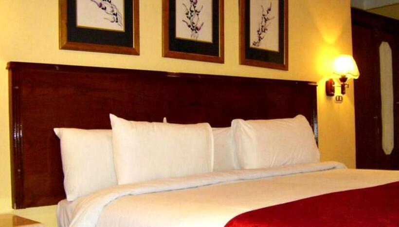 اتاق استاندارد یک نفره, Alexandria Mediterranean Suites