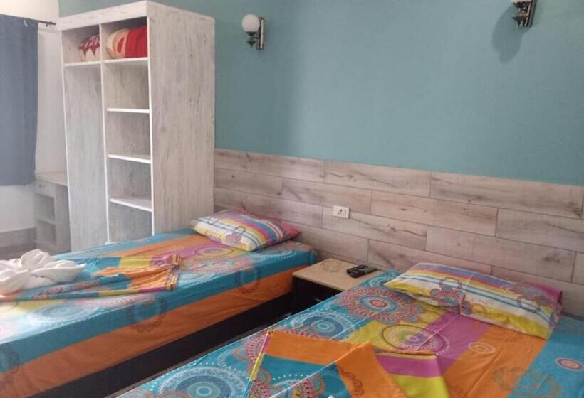 اتاق استاندارد, Dahab Divers