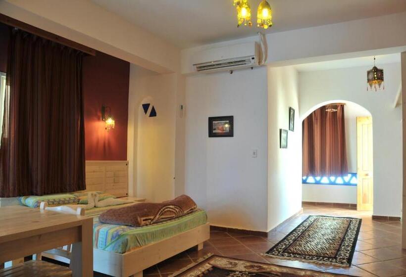 سوییت جونیور, Dahab Divers