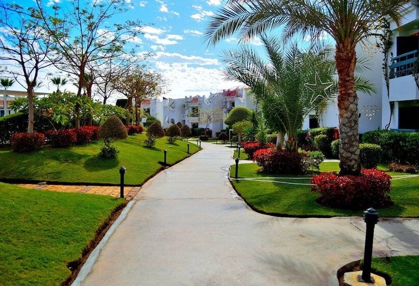 Chambre Economy, JAZ Neo Naama Bay