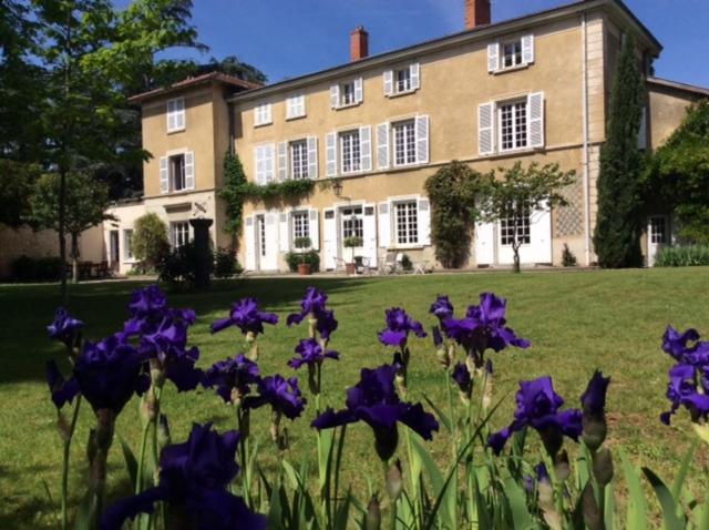 Номер Стандарт, Le Clos Saint Genois