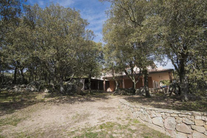 Номер Стандарт, Fumu Ludurru Farm Stay