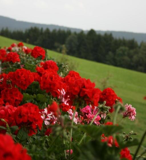 Апартаменты 1 Спальня с Балконом, Bauernhof Hoenigshof