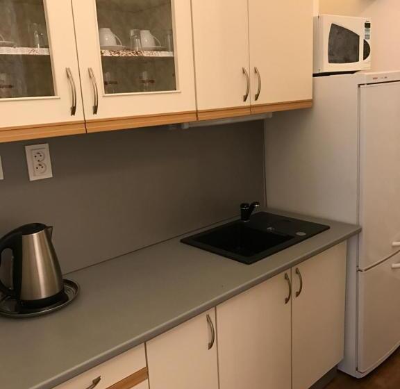 １ベッドルームのデラックスアパートメント, Centercity Apartments
