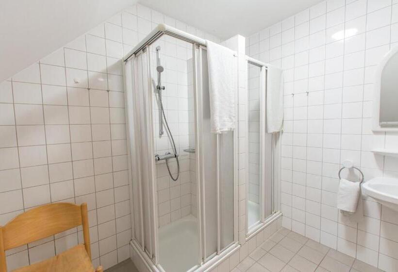 Номер Стандарт Четырехместный Совместный Санузел, Jugendgästehaus Ulrichsberg