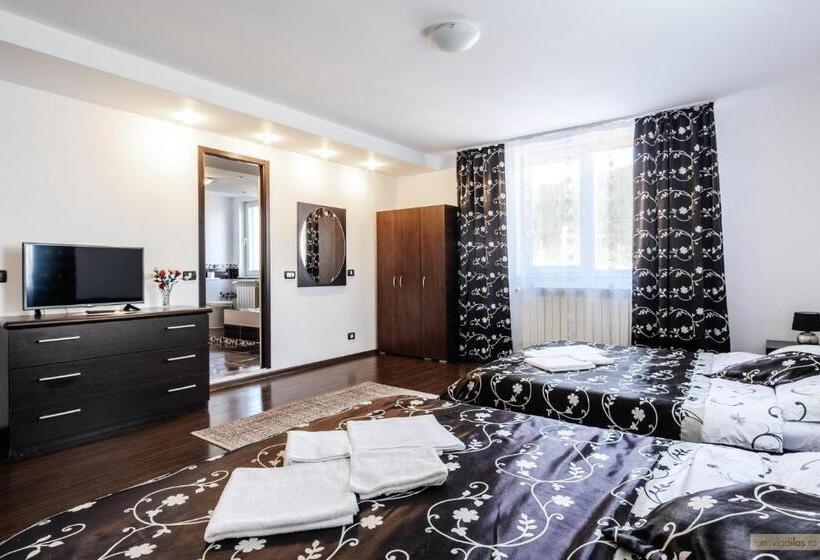 ویلای 3 خوابه, Sweet Home Bucovina Frasin Petreceri Private Si Majorate