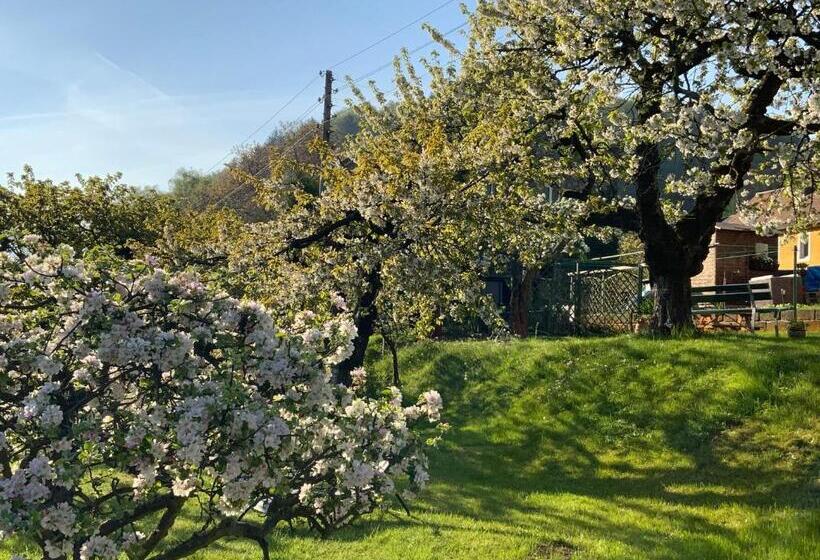Апартаменты 1 Спальня, Pension Hönel Hof Bad Schandau
