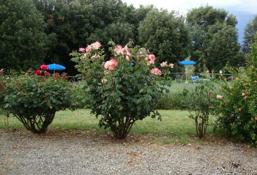 آپارتمان 1 خوابه با چشم‌انداز باغ, Agriturismo Tre Madonne