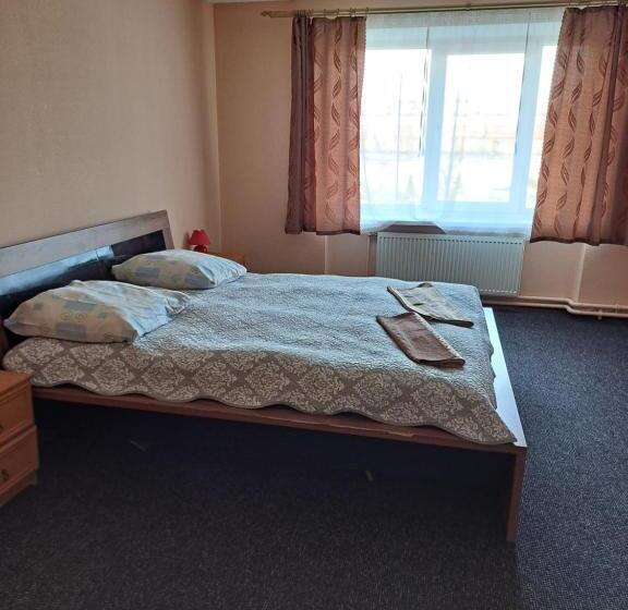 اتاق سوپریور, The Bunker Hostel