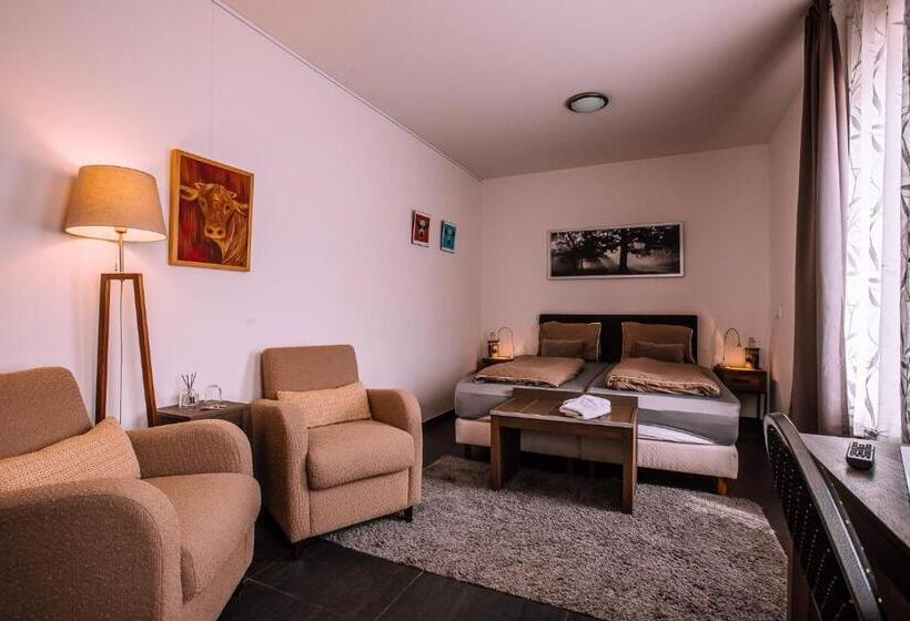 اتاق اکونومی با حمام مشترک, B&b/boertel De Meander