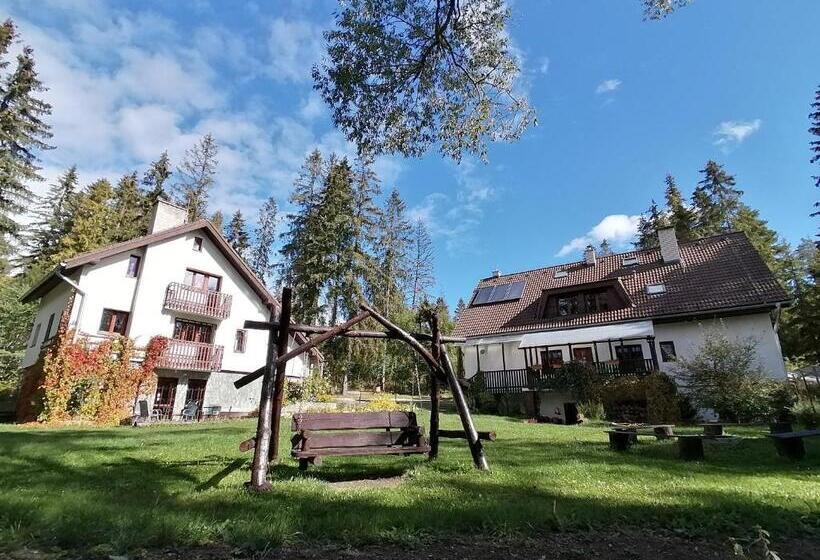 Basic Room, Chaty Tatra