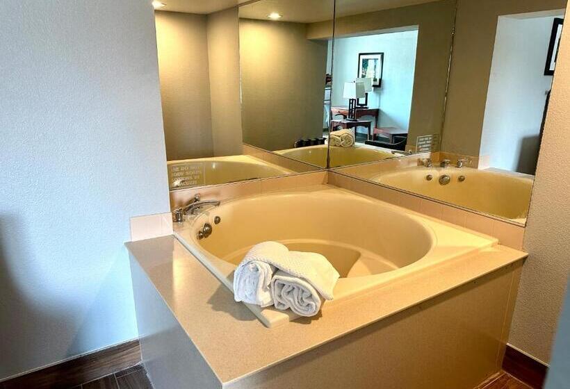 带大床的套房, Americinn & Suites By Wyndham Baraboo Event Center