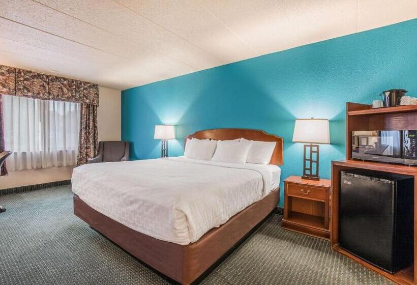 带大床的标准间, Americinn & Suites By Wyndham Baraboo Event Center