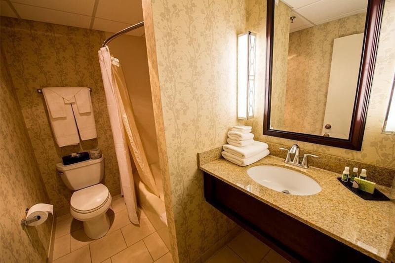 스탠다드 룸 킹사이즈 침대, Hilton Garden Inn Clovis