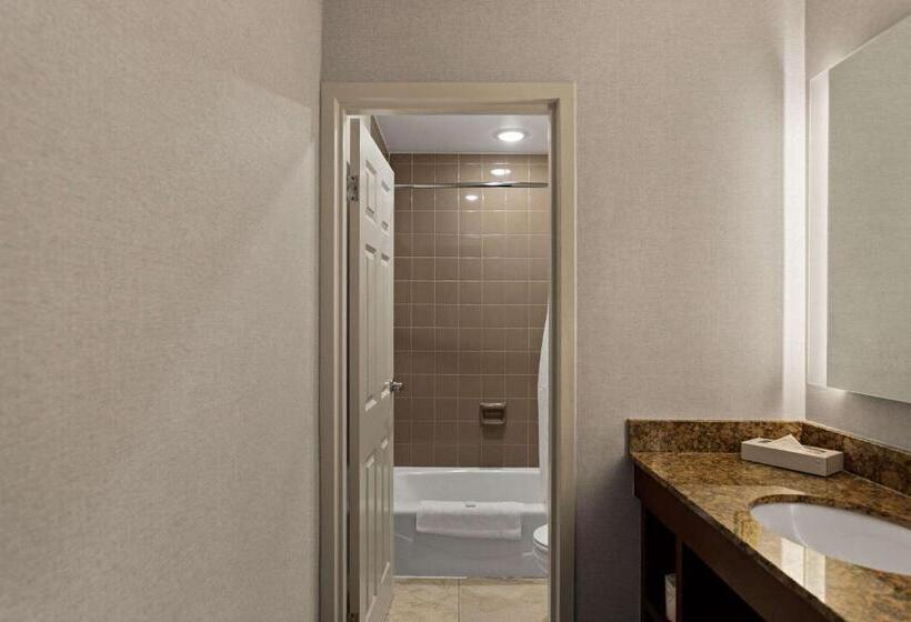 غرفة قياسية سرير كينج, The Clover Hotel, Ascend Hotel Collection