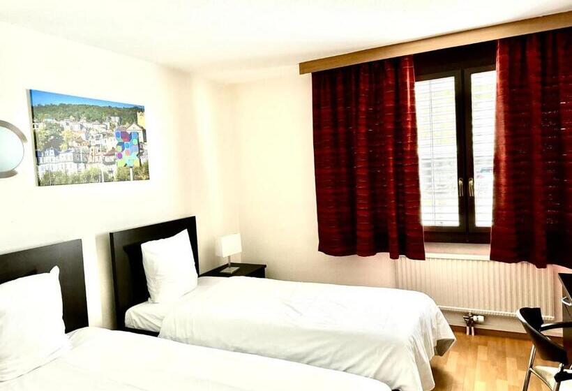 Номер Economy, Neuchatel City