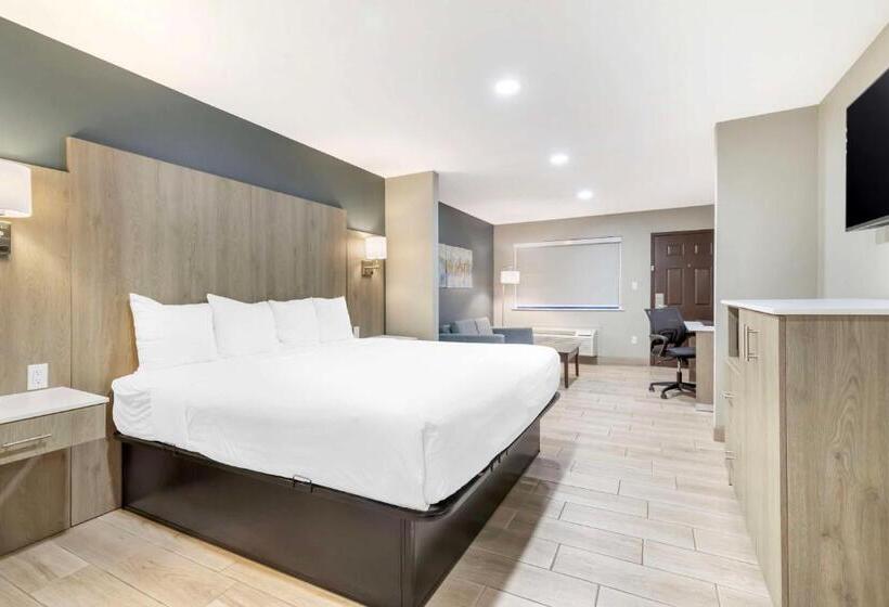 Полулюкс, Best Western Plus Edinburg Inn & Suites