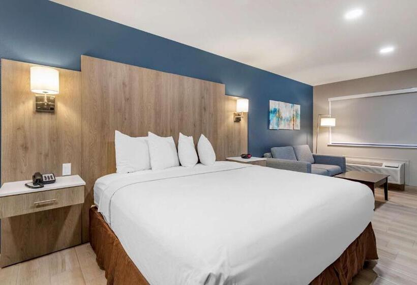 اتاق استاندارد با تخت بزرگ برای معلولان, Best Western Plus Edinburg Inn & Suites