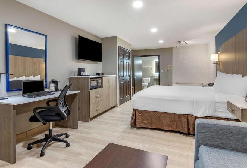 Номер Стандарт Кровать Кинг Адаптированный для Инвалидов, Best Western Plus Edinburg Inn & Suites