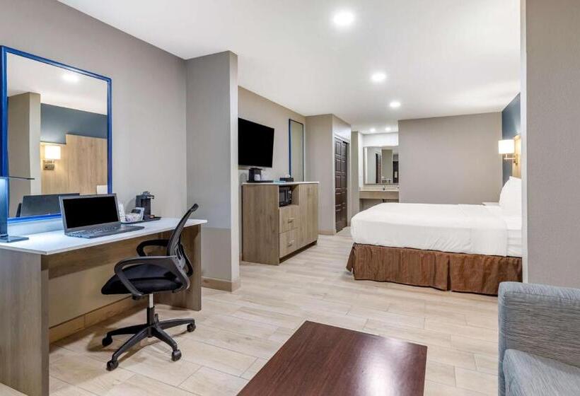 اتاق استاندارد با تخت بزرگ برای معلولان, Best Western Plus Edinburg Inn & Suites