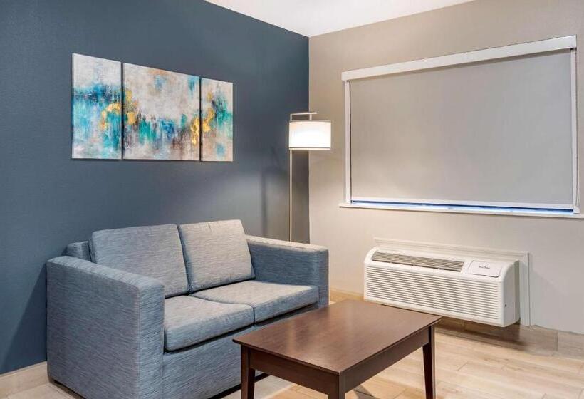 Номер Стандарт Кровать Кинг Адаптированный для Инвалидов, Best Western Plus Edinburg Inn & Suites