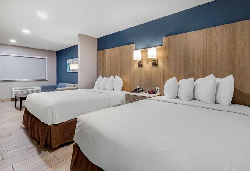 Номер Стандарт Адаптированный для Инвалидов, Best Western Plus Edinburg Inn & Suites