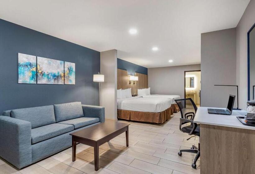 اتاق استاندارد برای معلولان, Best Western Plus Edinburg Inn & Suites