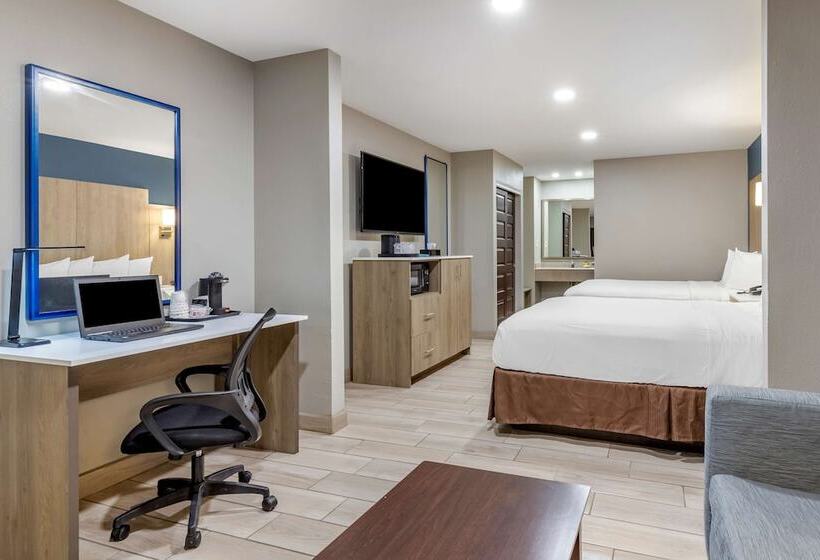 Полулюкс, Best Western Plus Edinburg Inn & Suites