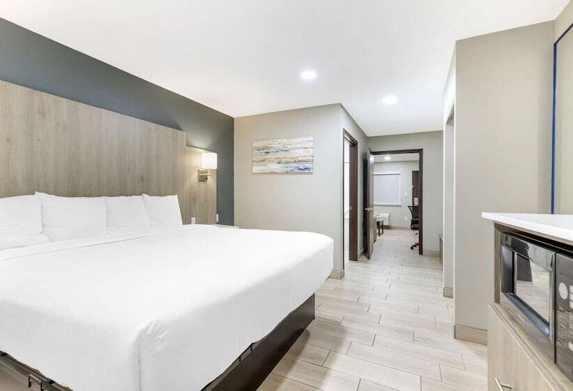 Люкс Адаптированный для Инвалидов, Best Western Plus Edinburg Inn & Suites