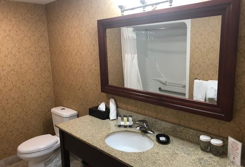 Номер Стандарт 2 Двуспальные Кровати, Chateau Saint John Trademark Collection By Wyndham