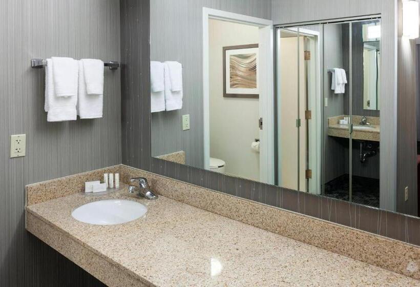 سوئیت با تخت بزرگ, Courtyard By Marriott Wichita East