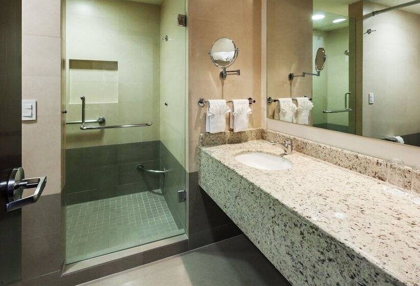 اتاق استاندارد با 2 تخت دوبل, Crowne Plaza Leon, An Ihg