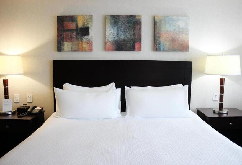 اتاق استاندارد با تخت بزرگ, Crowne Plaza Leon, An Ihg