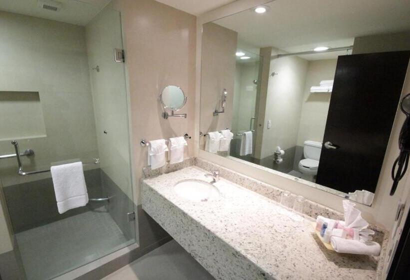 اتاق استاندارد با تخت بزرگ, Crowne Plaza Leon, An Ihg