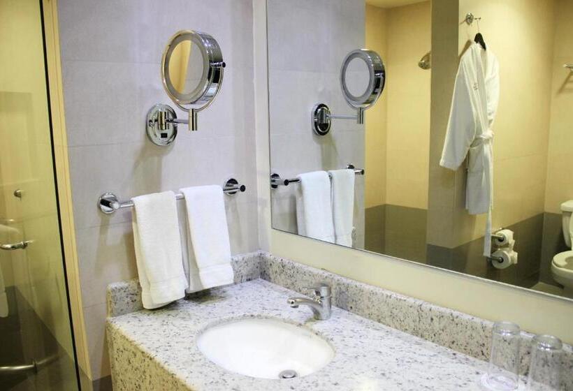 اتاق استاندارد با تخت بزرگ, Crowne Plaza Leon, An Ihg