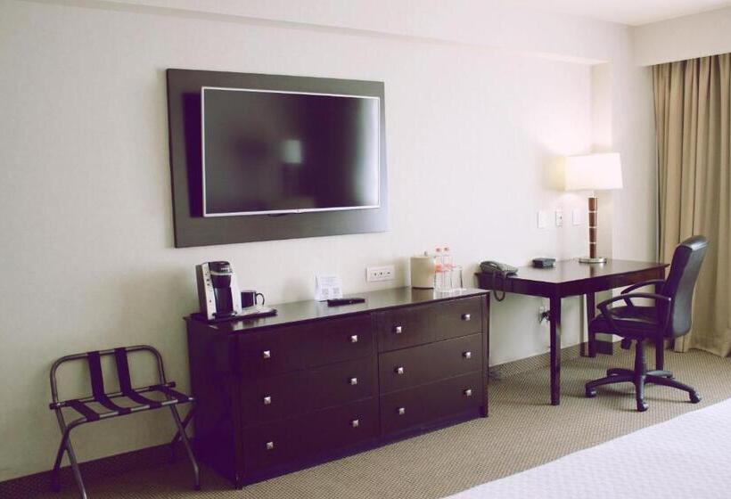 اتاق استاندارد با تخت بزرگ, Crowne Plaza Leon, An Ihg