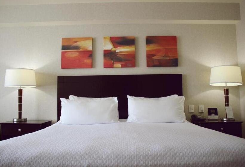 اتاق استاندارد با تخت بزرگ, Crowne Plaza Leon, An Ihg