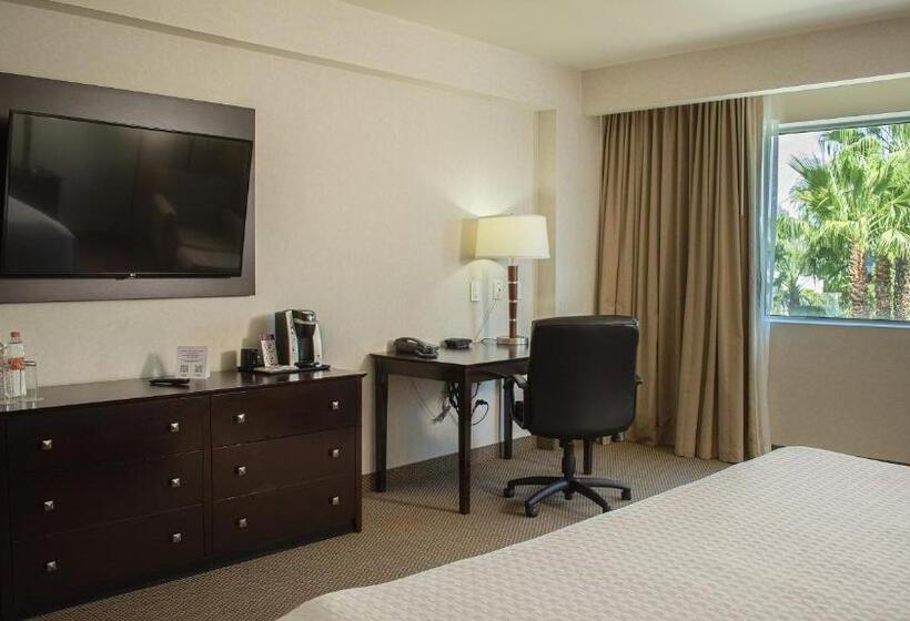 سوئیت با تخت بزرگ, Crowne Plaza Leon, An Ihg