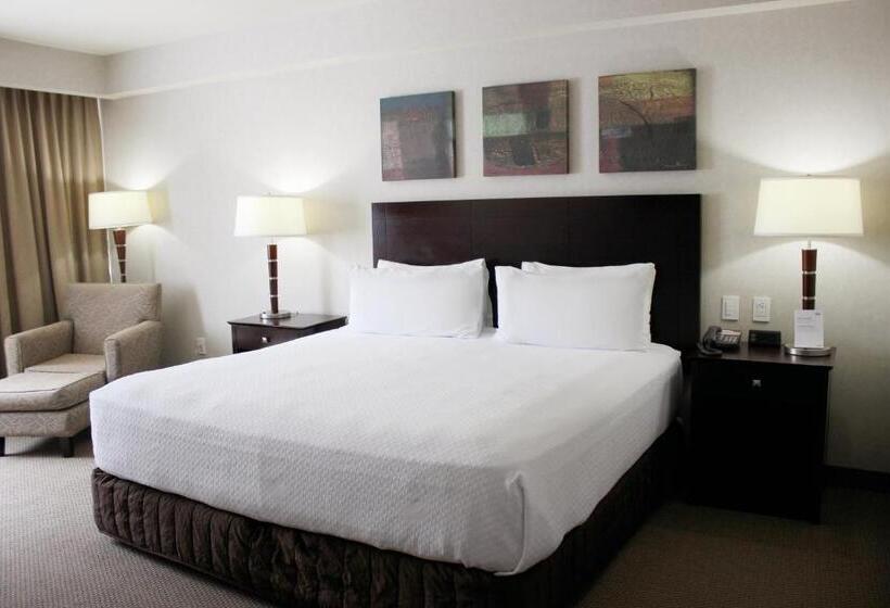 سوئیت با تخت بزرگ, Crowne Plaza Leon, An Ihg