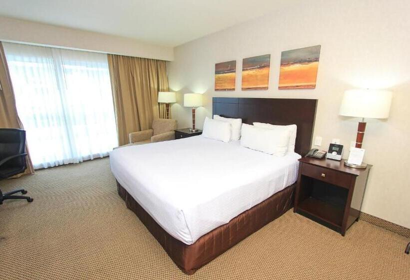سوئیت با تخت بزرگ, Crowne Plaza Leon, An Ihg